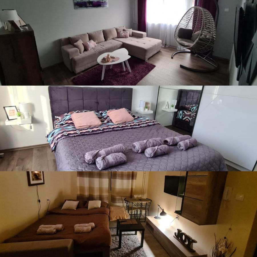 Grey & Sunny Apartments Zajecar Ngoại thất bức ảnh